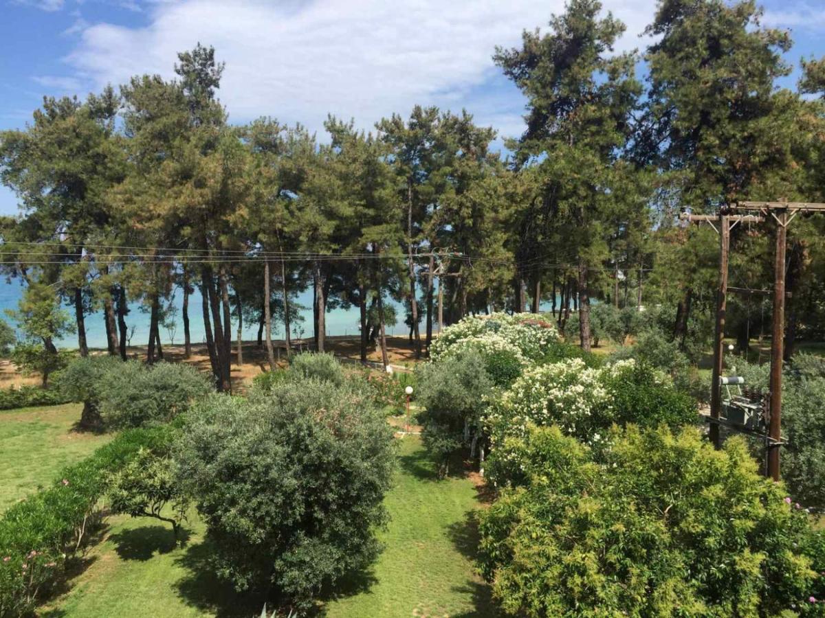 Апартаменты Nisteri Seaside Тасос Экстерьер фото